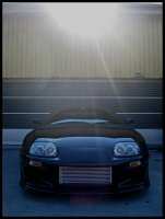 supra5.jpg