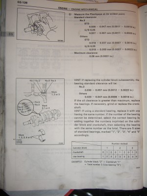 CIMG4267.JPG