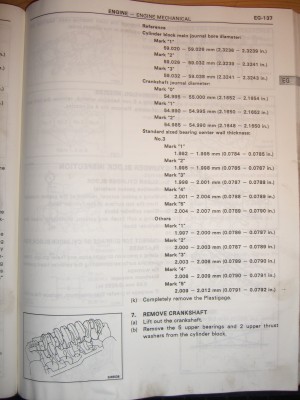 CIMG4268.JPG
