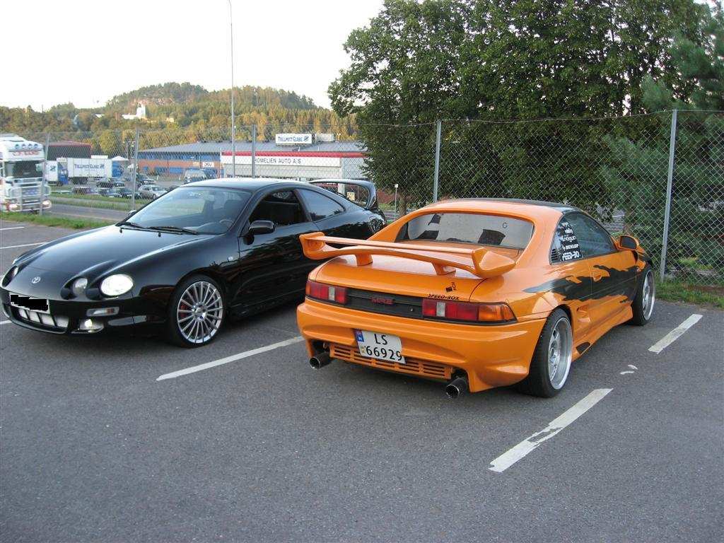 IMG_1411 (Large).JPG