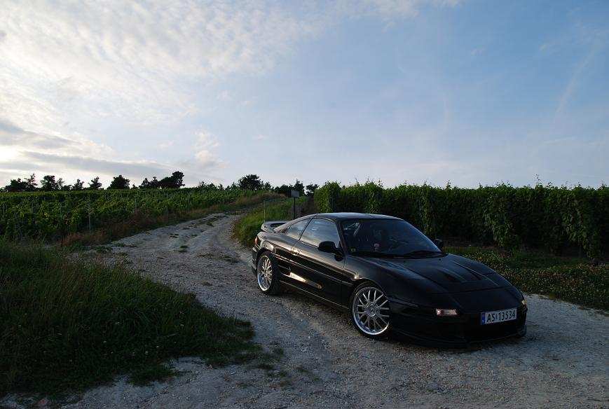 En vinåker utenfor Chalons-en-Champagne i Frankrike...