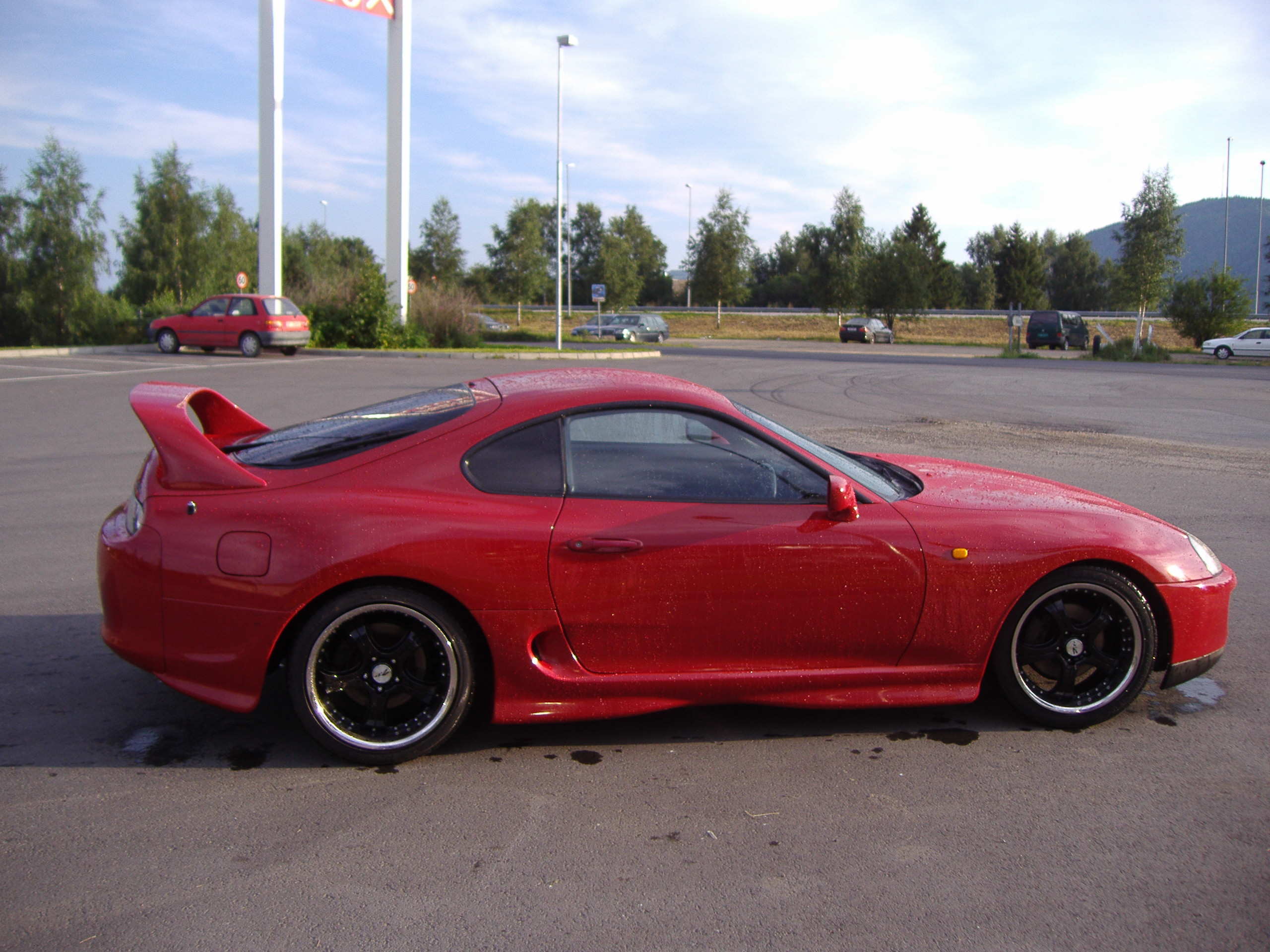 supra 007.jpg
