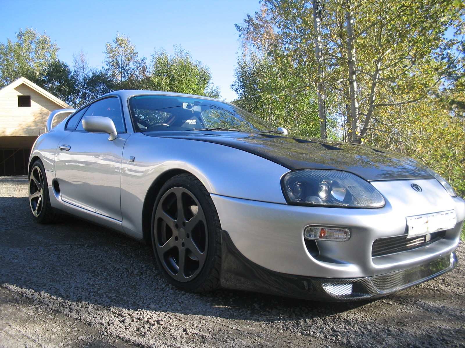 min supra 021.jpg