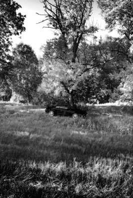 Haust6Infrared-1024.jpg