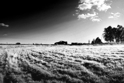 Haust14Infrared-1024.jpg