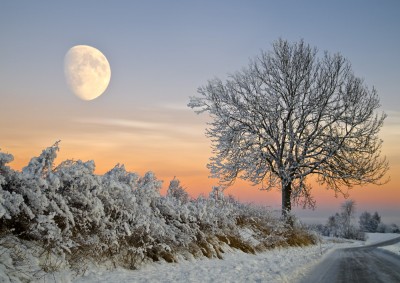 God Jul!