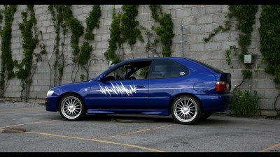 corollas6.jpg