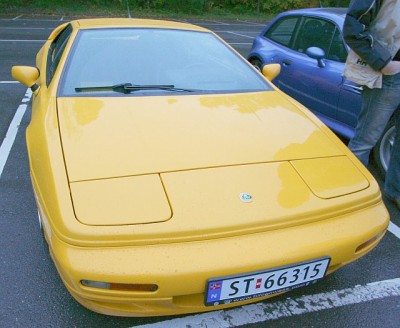 IMG_3061crop.jpg