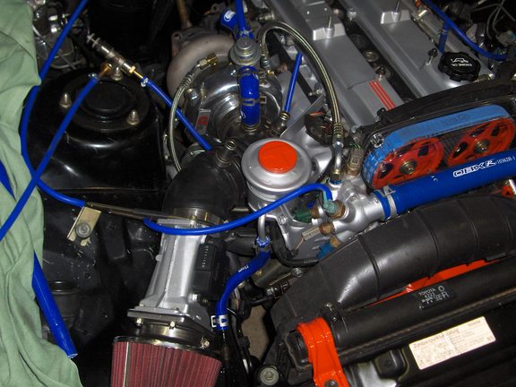 rsz_supra_019.jpg