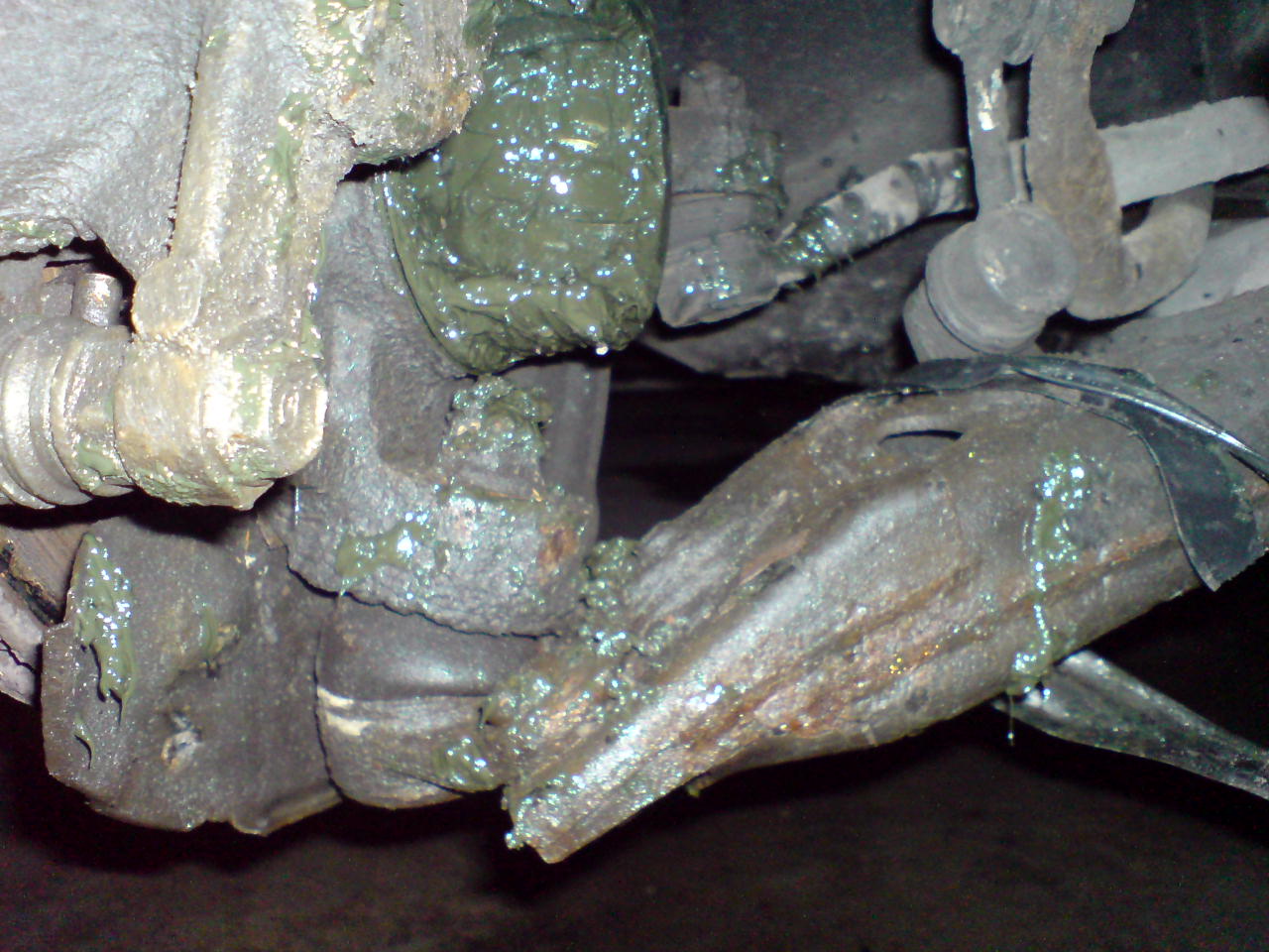 DSC00102.JPG