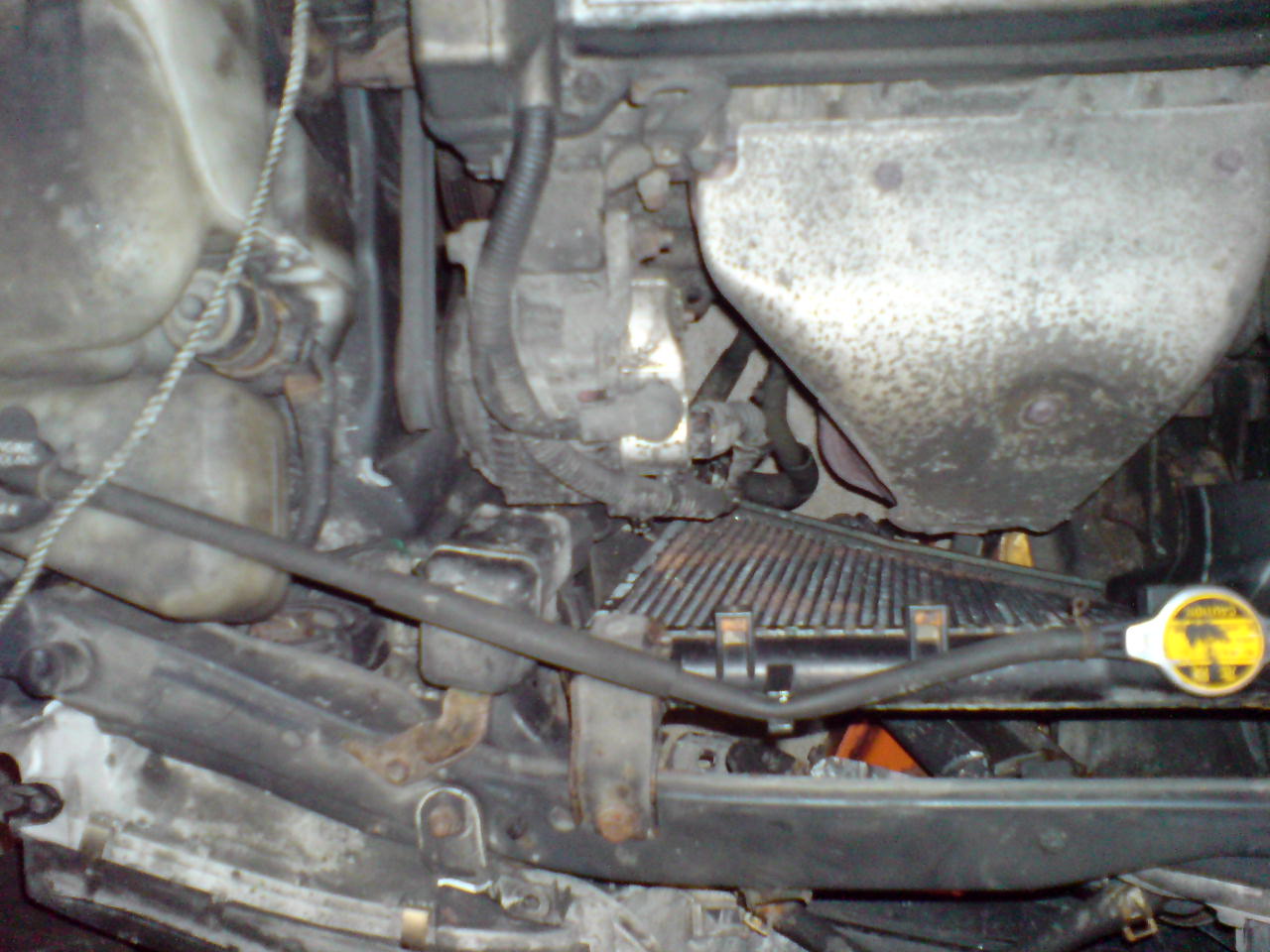 DSC00104.JPG