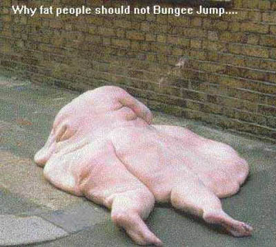funny0440.jpg