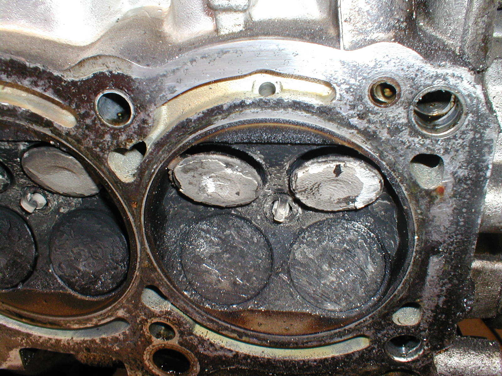P1010038.JPG