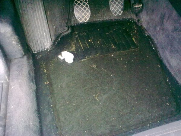 02092009060.jpg