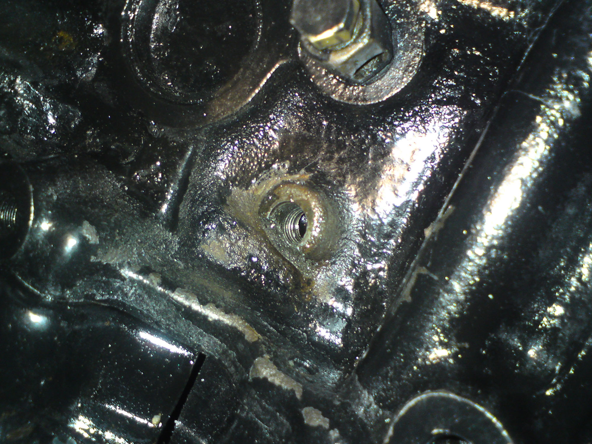 file.php?id=42228&mode=view