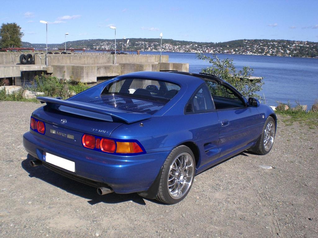 høst 09 045blåbaklys.JPG