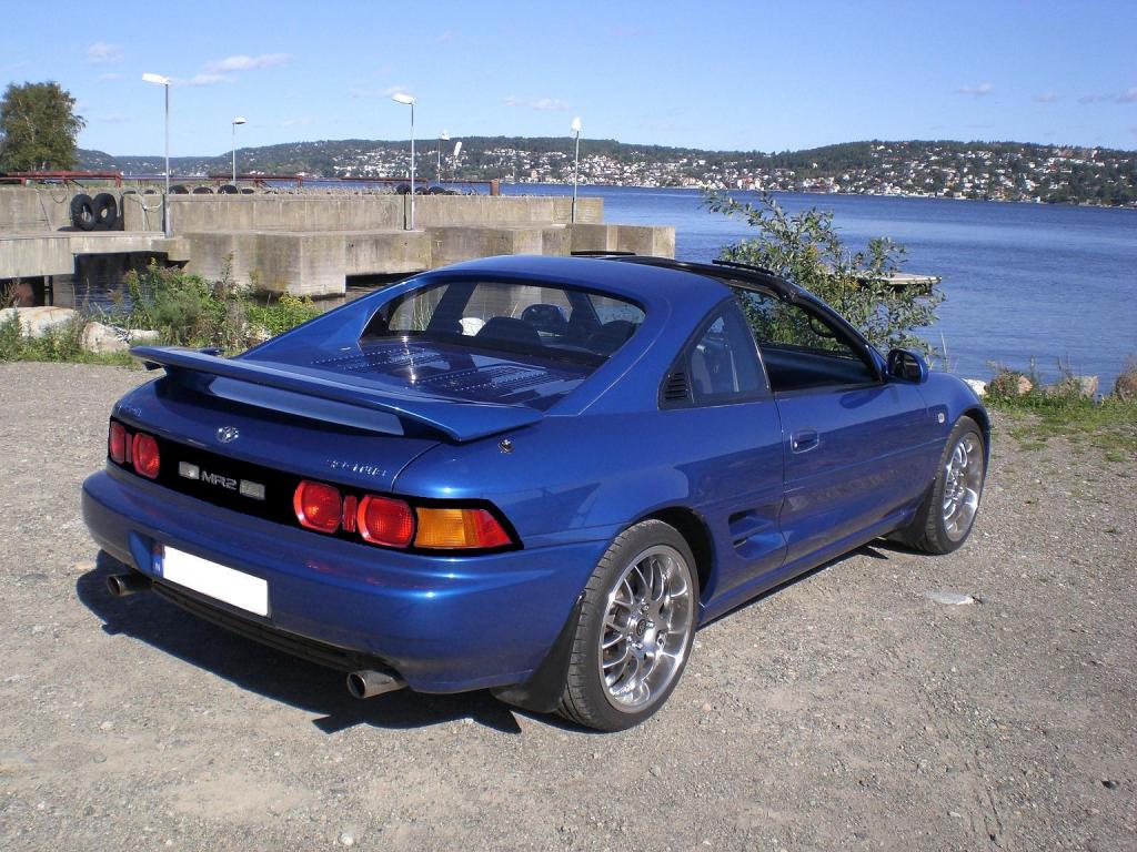 høst 09 045svartbaklys1.JPG