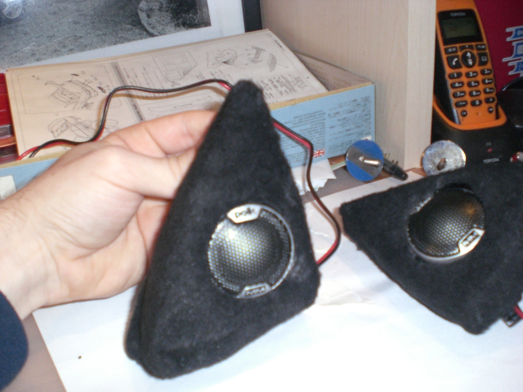 x diskanthus 007.jpg