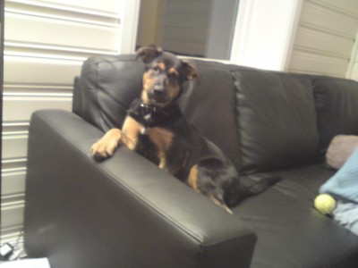 Tinka