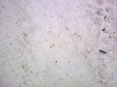 nokia bilder 016.jpg