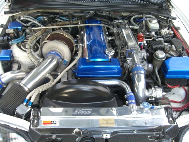 supra1.jpg