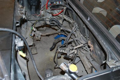DSC_0586 (Medium).JPG
