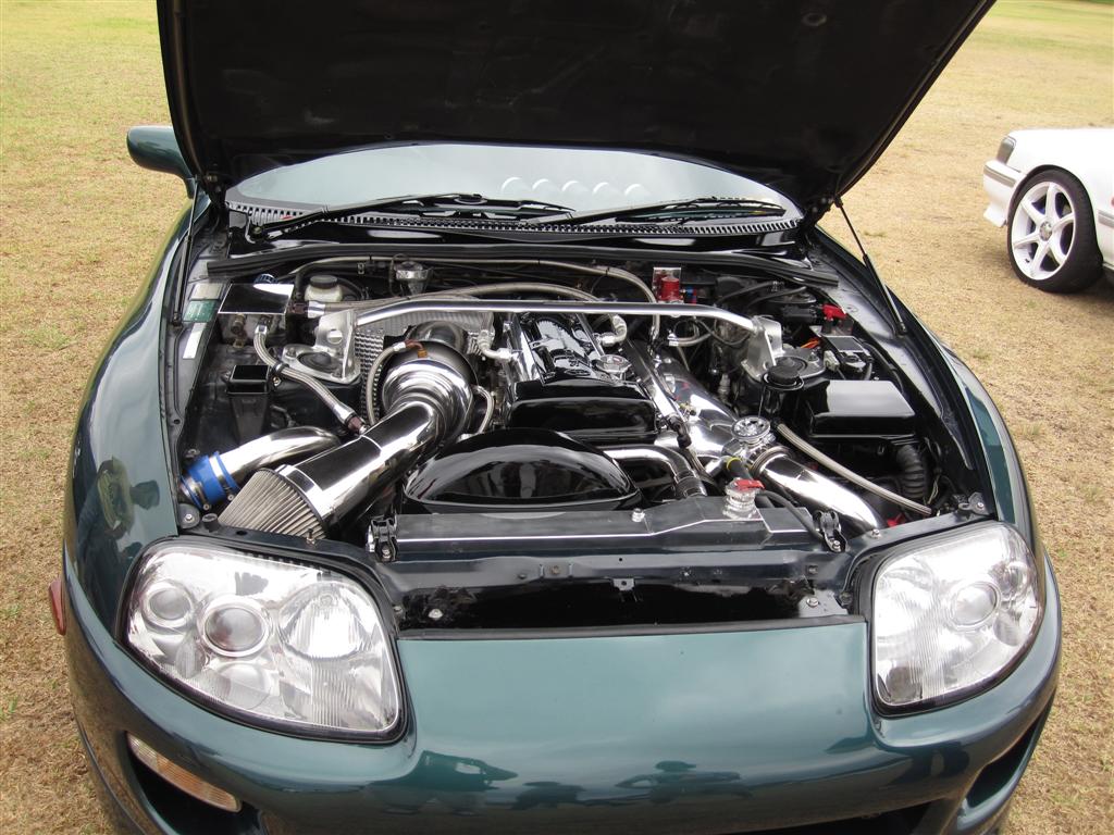 IMG_0083 (Large).jpg