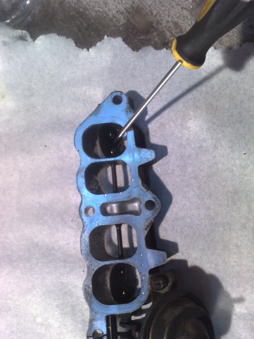 Fjernet butterflyene