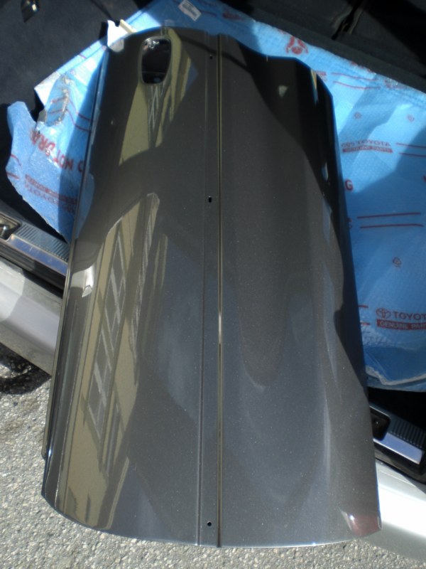 CIMG3135 [800x600].jpg