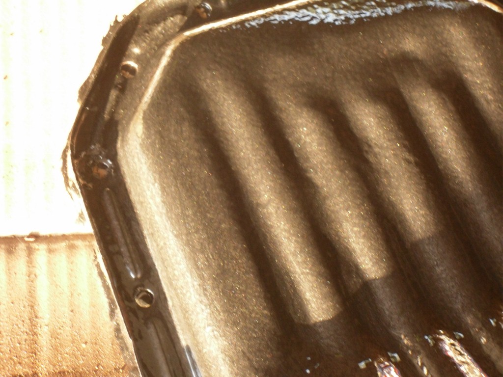 SDC10669 (2) (1024x768).jpg