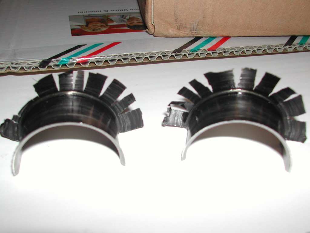 Dscn1911.jpg
