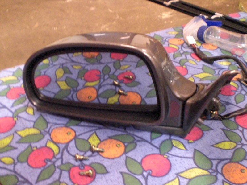 CIMG3290 [800x600].jpg