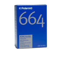 pol664.jpg