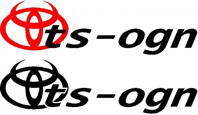 TS-OGN logo.jpg