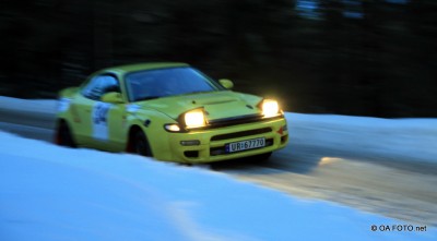 Rally Treungen