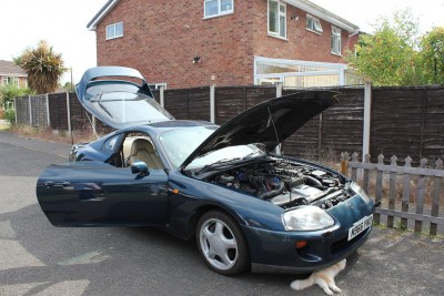 supra2.JPG