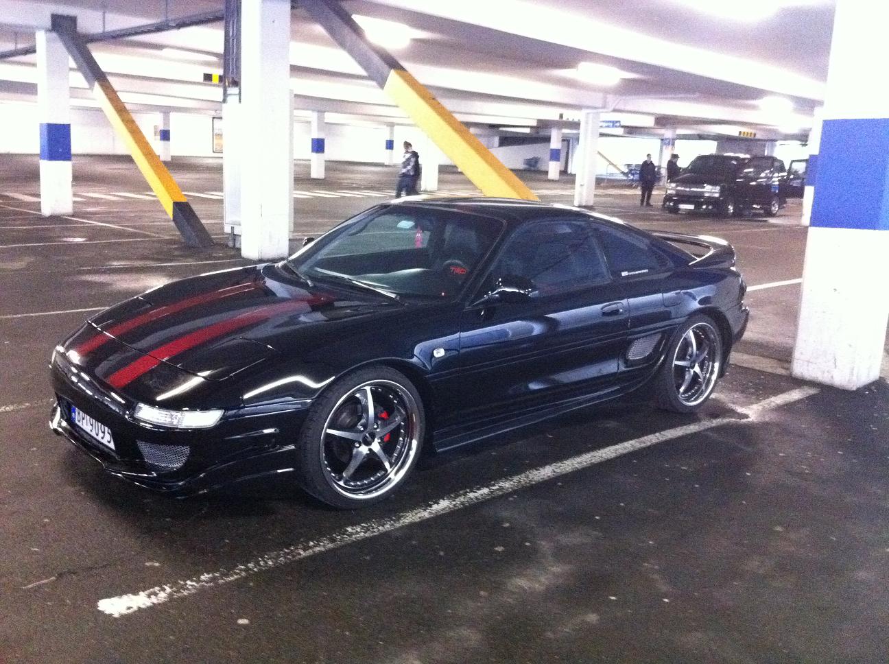 Vårmønstring 2.JPG