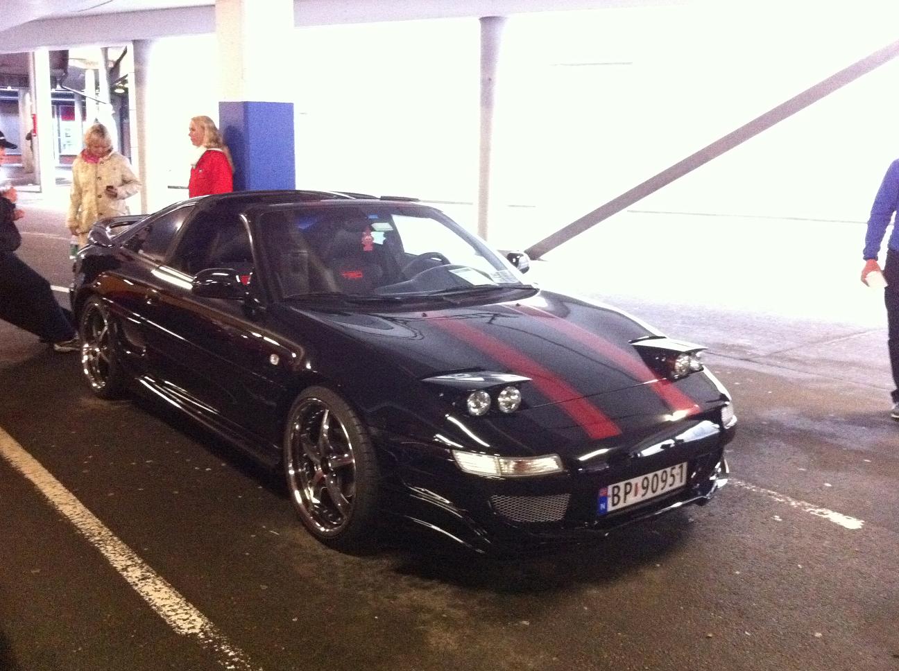 Vårmønstring 3.JPG