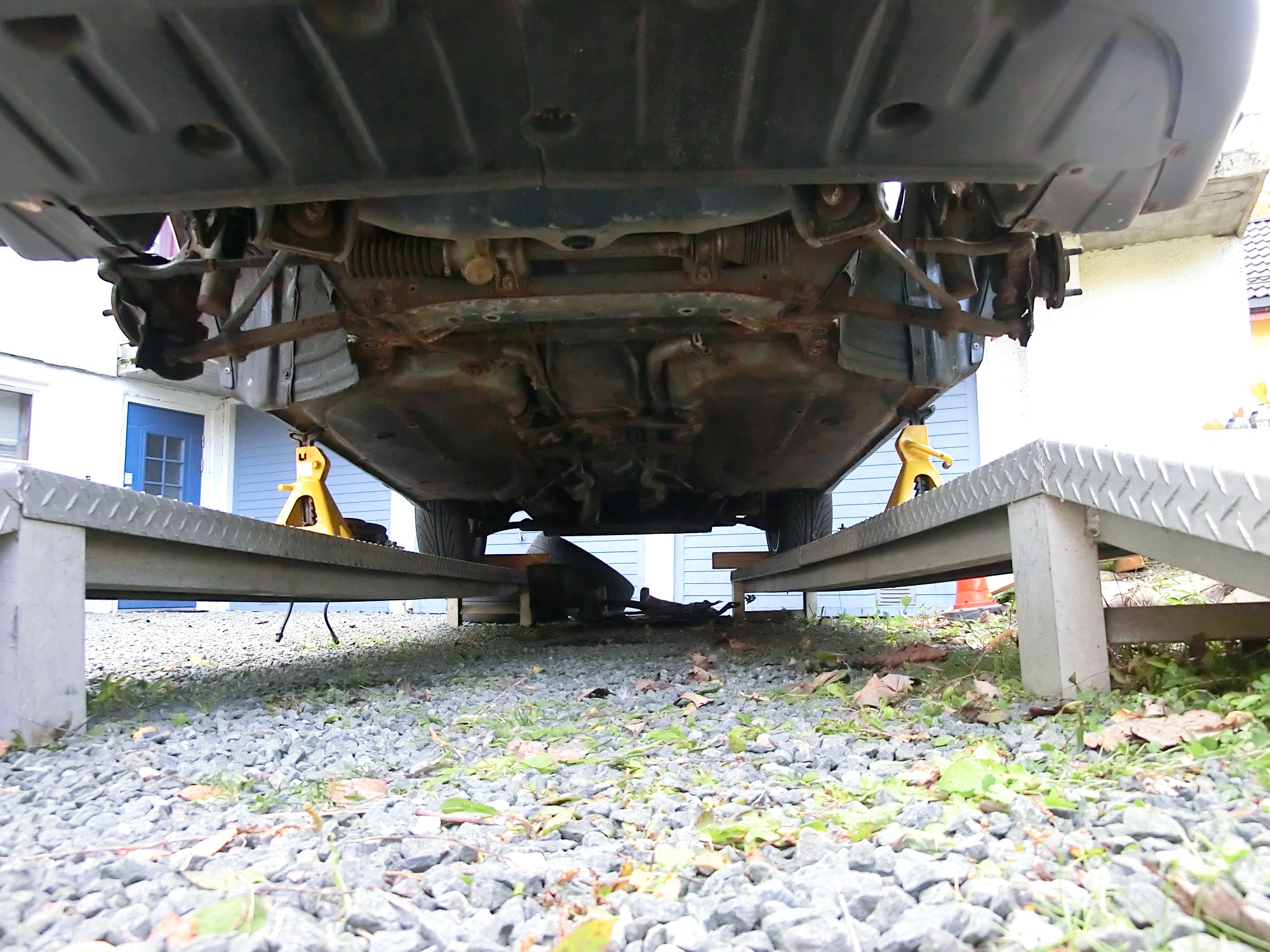 Under forfra. Litt brun, men mest i travers og div stag.