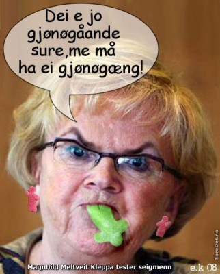 elin_kleppa500.jpg