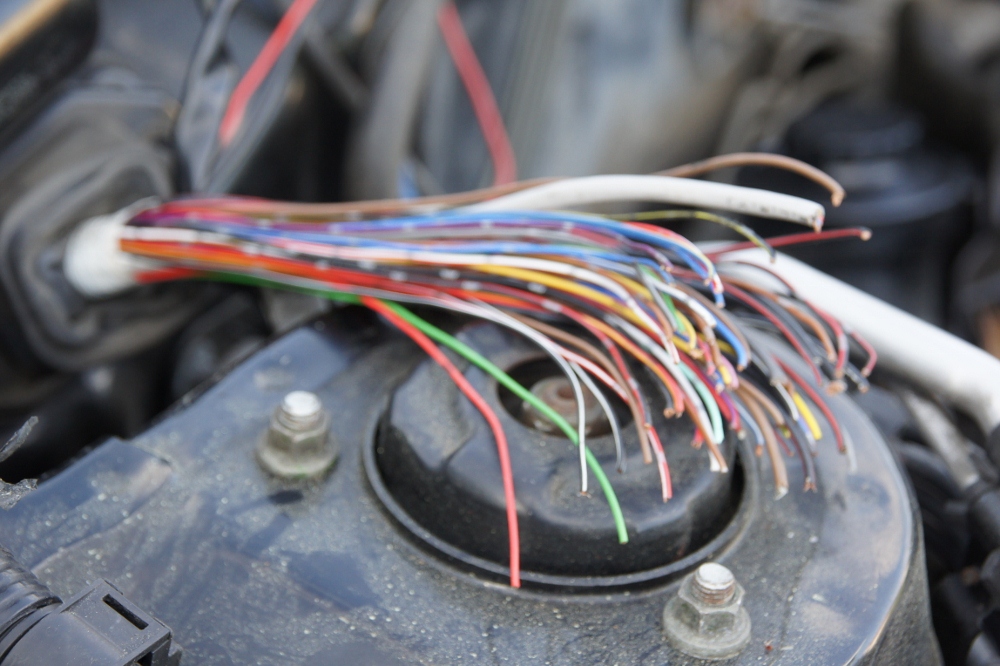 DSC02568 (1000x666).jpg