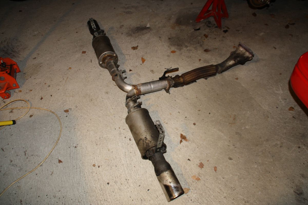 Gunn sine valper 029.jpg