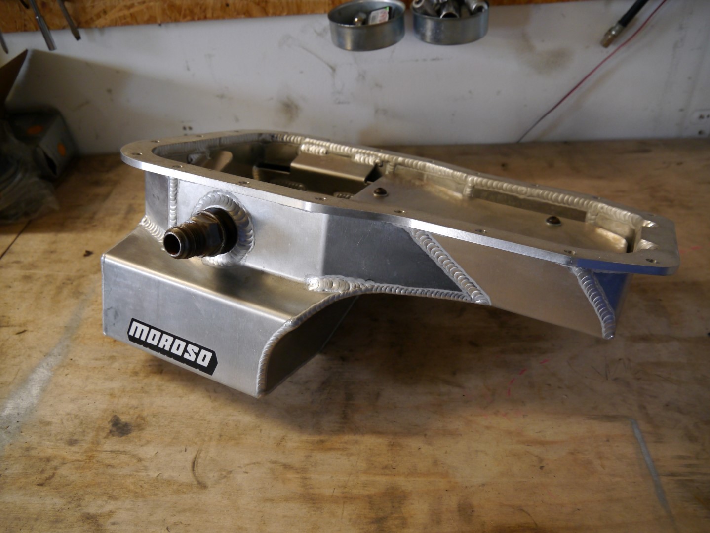 P1040628 (Large).JPG