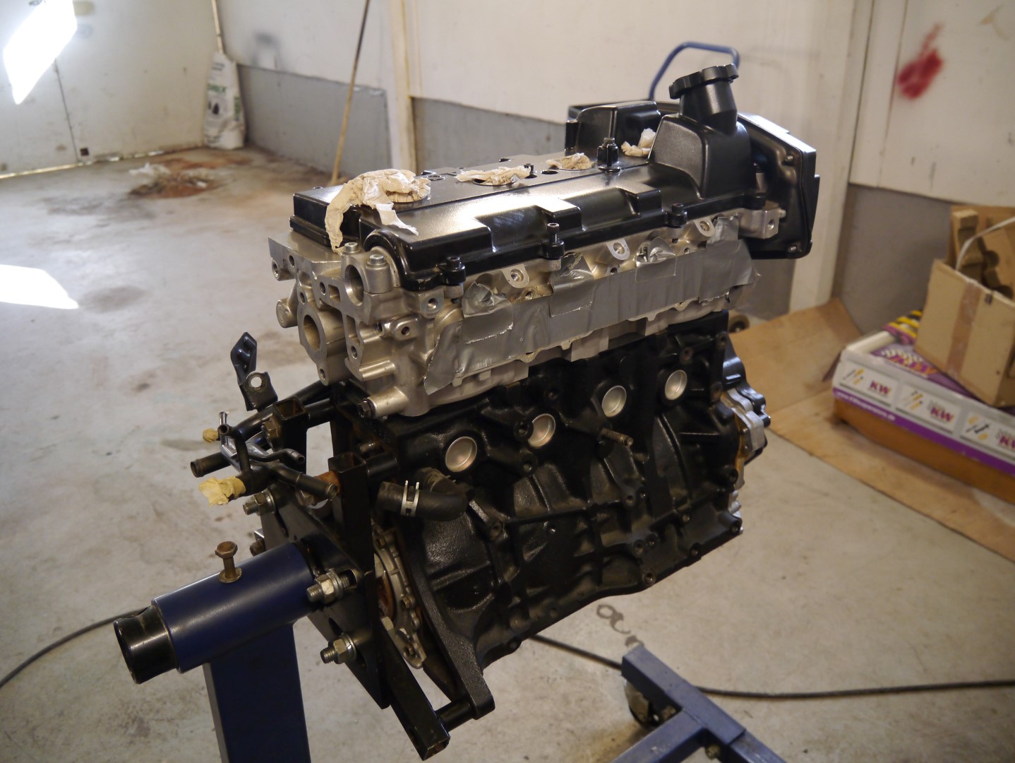 P1040629 (Large).JPG