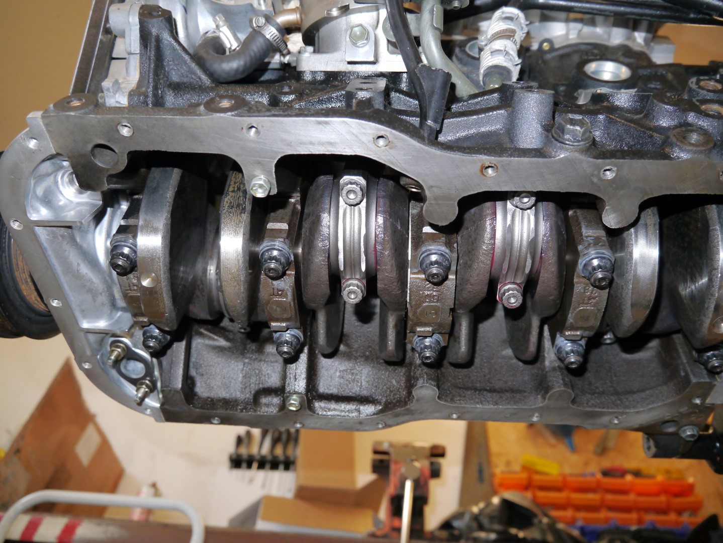 P1040633 (Large).JPG