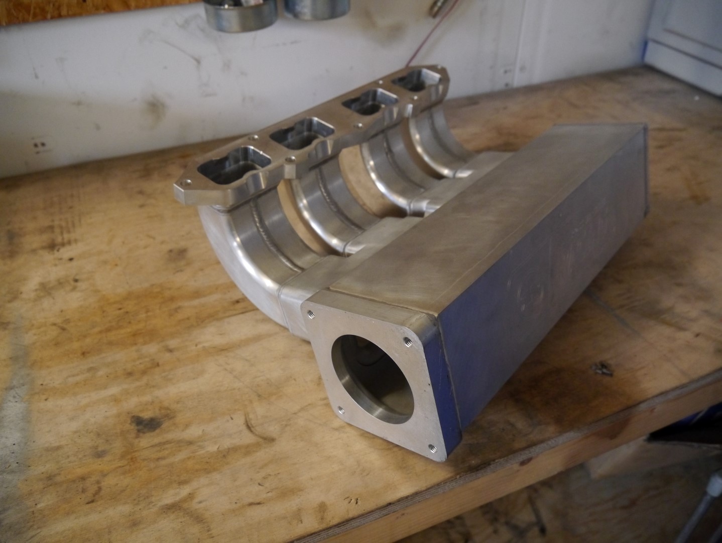 P1040635 (Large).JPG