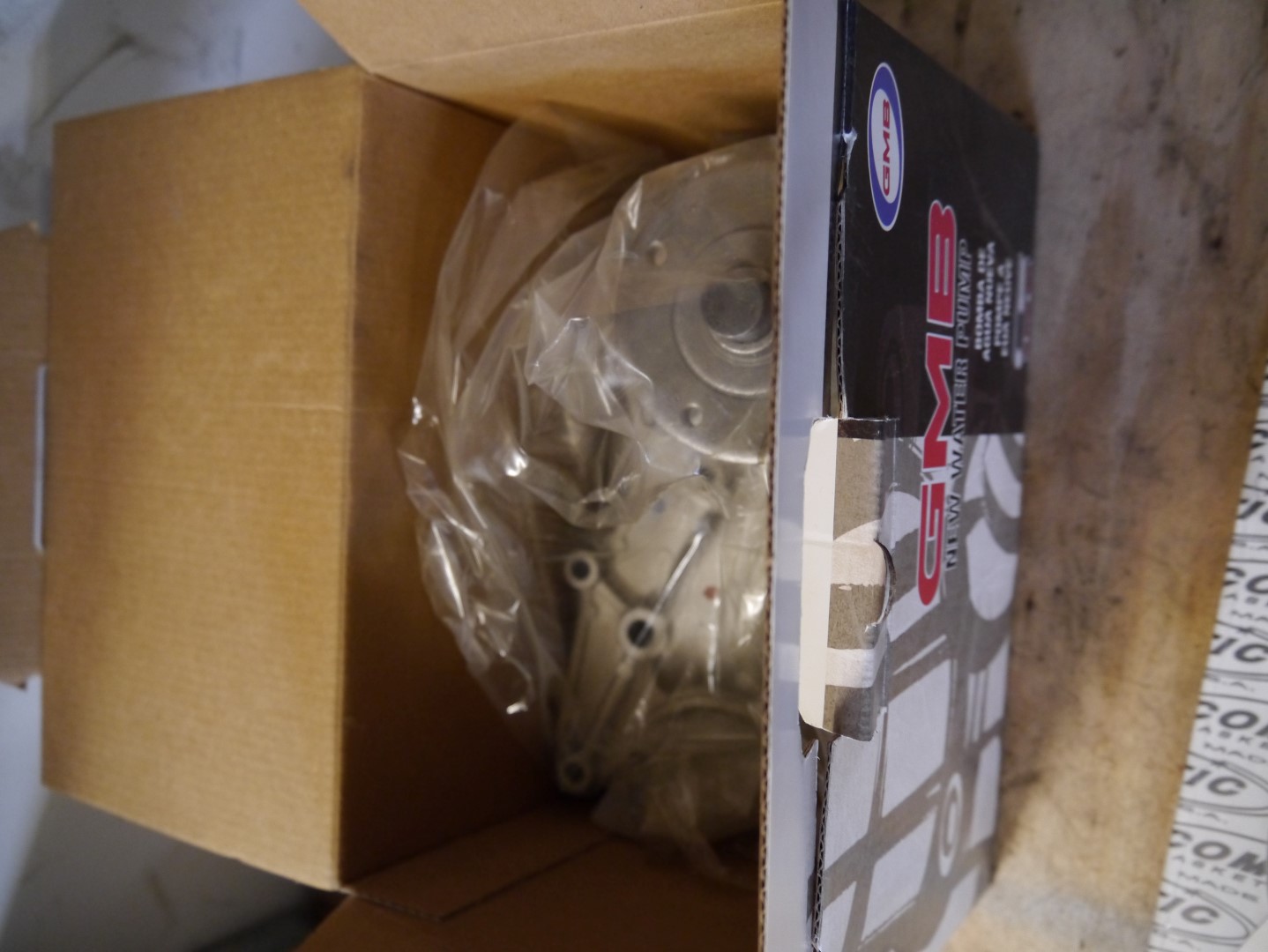 P1040639 (Large).JPG