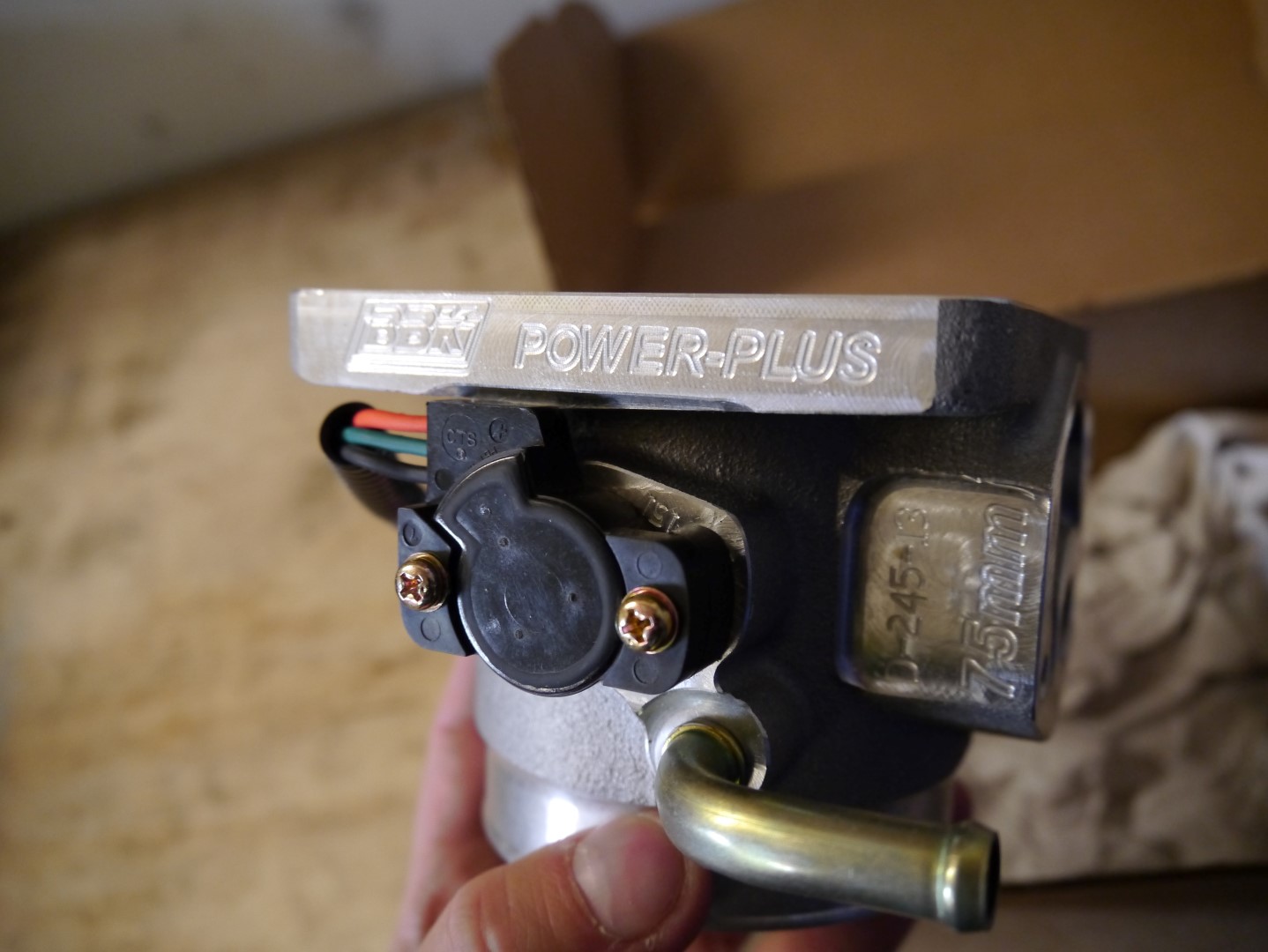 P1040652 (Large).JPG