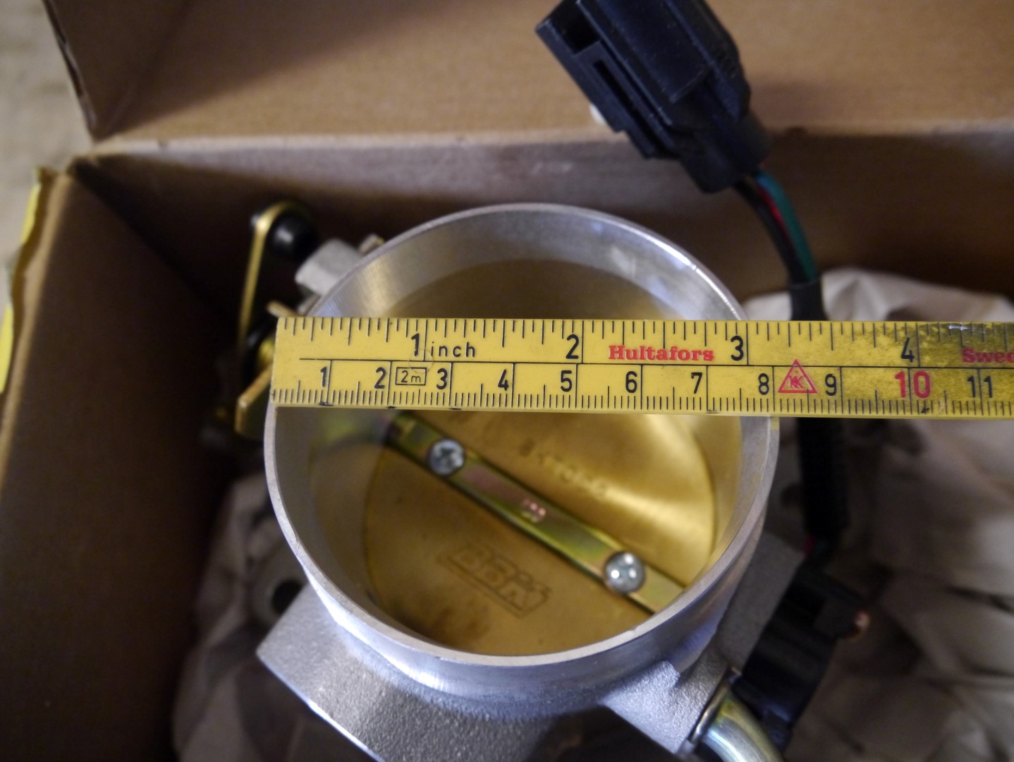 P1040654 (Large).JPG