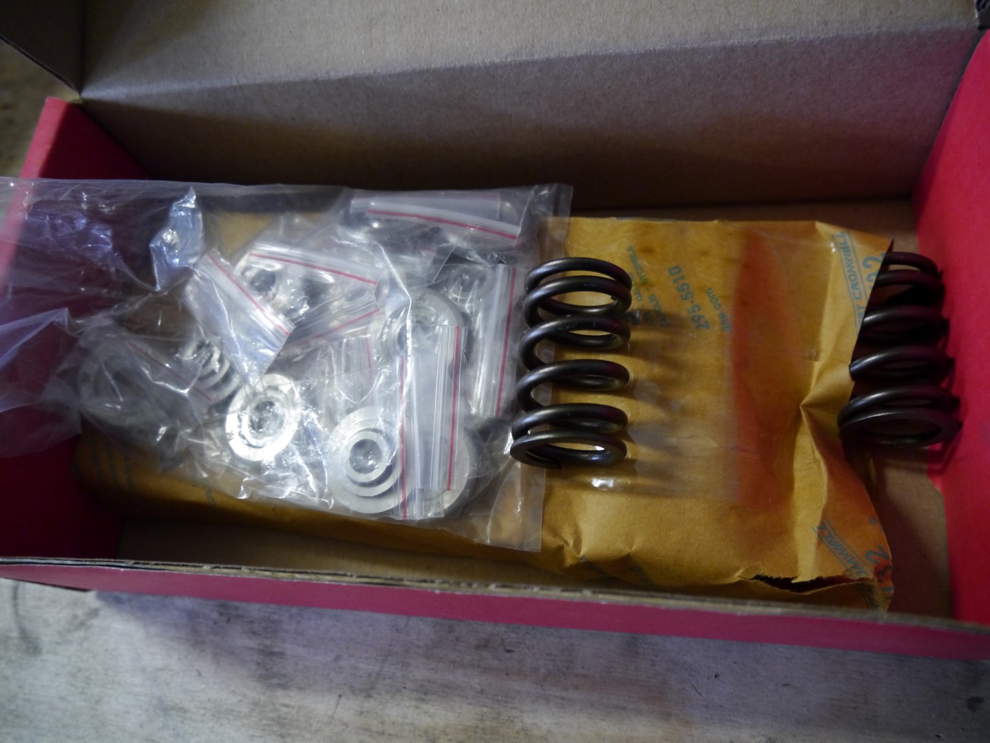 P1040656 (Large).JPG